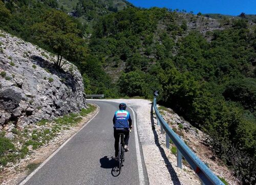 Dajti Escape: From City to Mountain Peaks