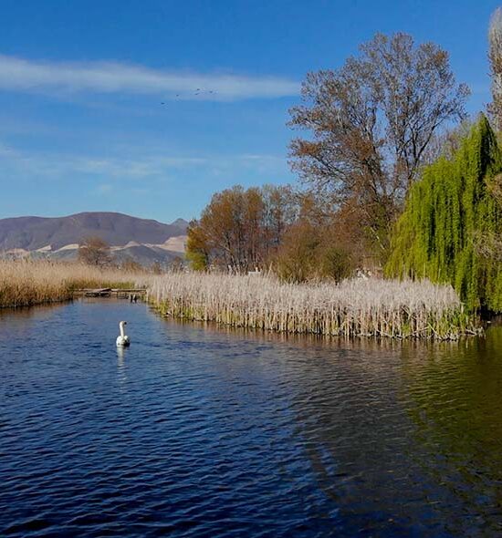 Lake, Mountains & Heritage